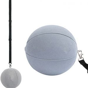 Golf Smart Ball Training Aid Impact Inflatable Balls with Air Pump Adjustable Lanyard Assist Teaching Posture Correction Trainer Aids for Men Women Beginner Golfer