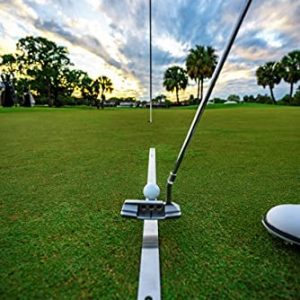 Gray’s Golf Training Aid, Golf Training Equipment for Putting with Instructional Video Package Included! Golf Accessories for Practice Steel Design