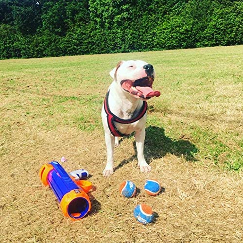 Nerf Dog Tennis Ball Blaster 9 Nerf Dog Tennis Ball Blaster - Image 9