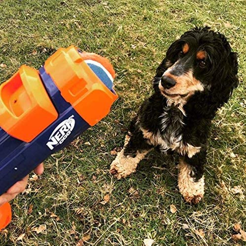 Nerf Dog Tennis Ball Blaster 8 Nerf Dog Tennis Ball Blaster - Image 8