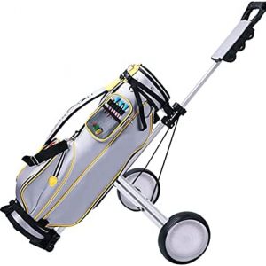 LYBOHO 2 Wheels New Foldable Golf Push Pull Cart, Strong Steel Frame, Lightweight Golf Trolley with Scoreboard, Foot Brake, Cup Holder, Golf Equipment for Outdoor Use (Golf Bag Not Included)